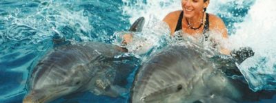 nadar con delfines isla mauricio