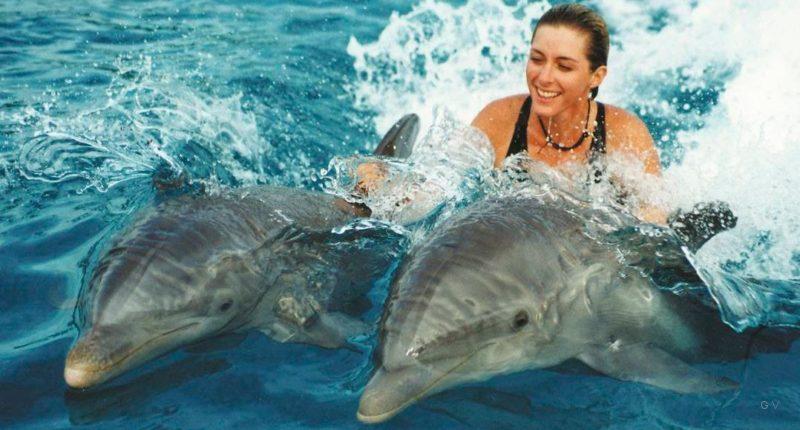 nadar con delfines isla mauricio