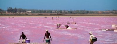 lago rosa dakar