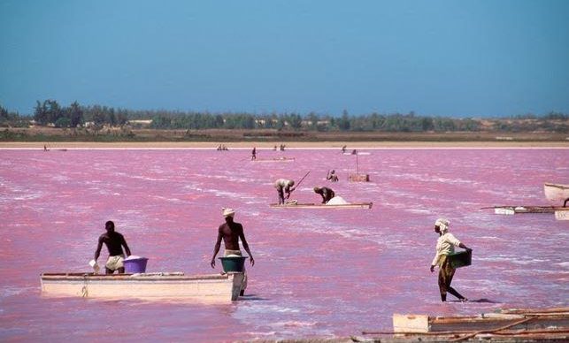 lago rosa dakar