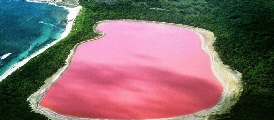 lago rosa hiller en australia