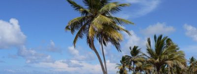 actividades que debes hacer en Punta Cana