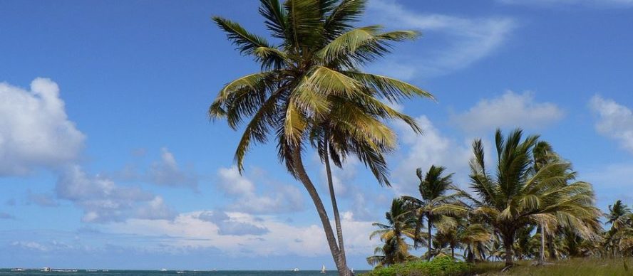 actividades que debes hacer en Punta Cana